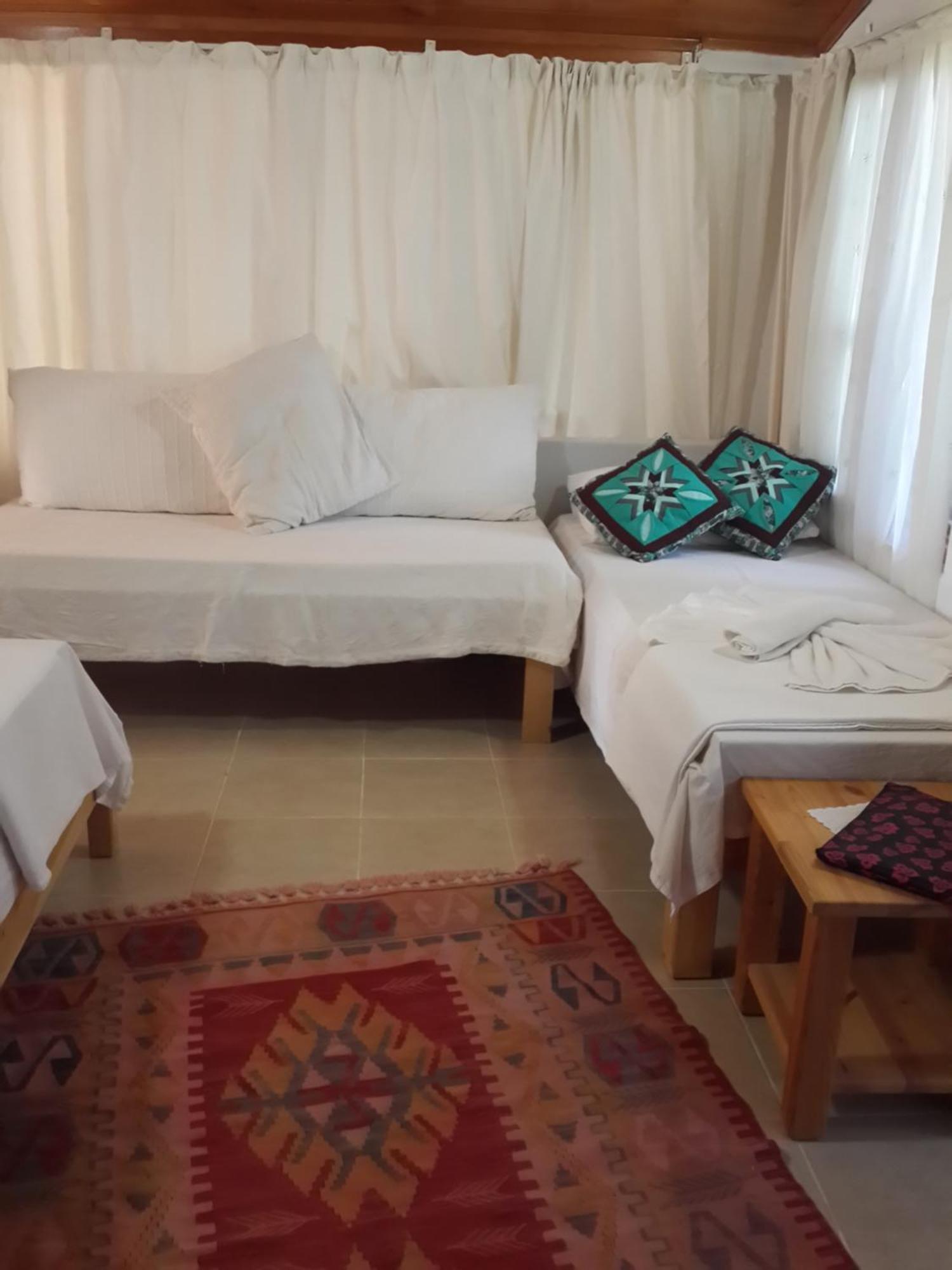 Bed and Breakfast Cirali Kus Yuvasi Zimmer foto